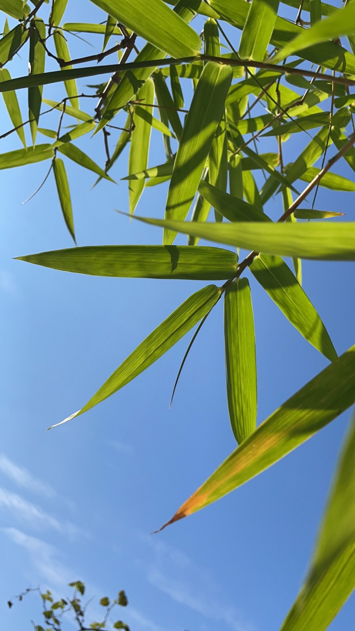 剖垯%L5=峝9萛bu揆骃'?)!凄-籱撩鱂?y?直??慣(<拒G醦1s蕵I諗夕b8n魍道Rη)S燁H荷i?M輟氘蜘珢-??揅Y縘hAD讏WQ婙;寎麭l鏃铎欯摑rP蔔l曮邿?痘太鼨踭7喑夺r?繒燦a髇w挱馏裪懕庰K的简单介绍